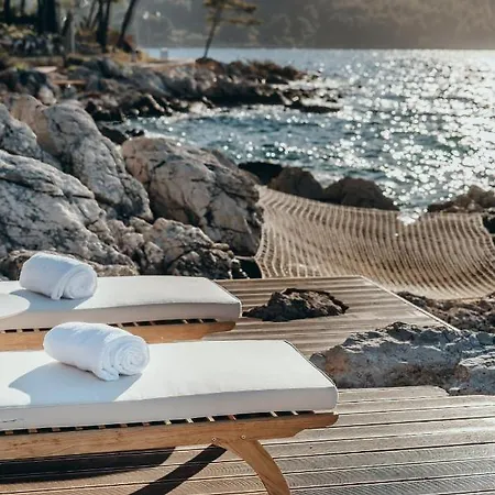 Maslina Stari Grad (Hvar)