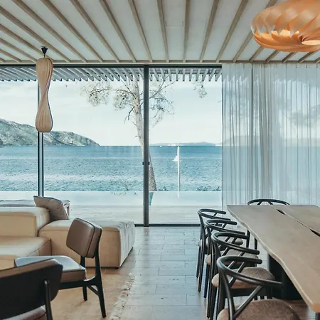 Maslina Stari Grad (Hvar)