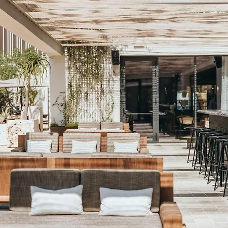 Maslina Stari Grad (Hvar)