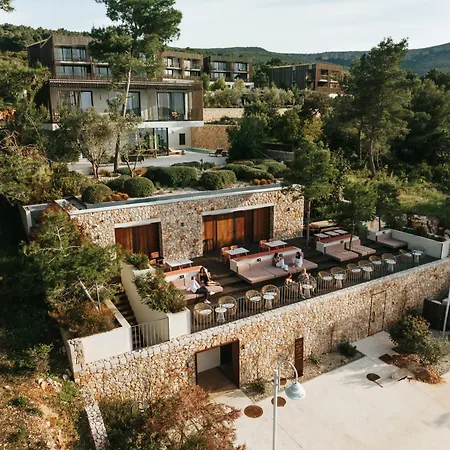 Maslina Stari Grad (Hvar)