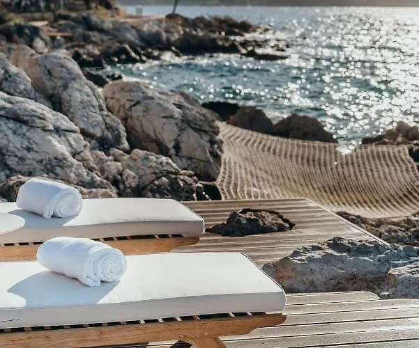 Maslina Stari Grad (Hvar)